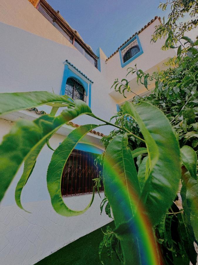 Auberge Dalia Шефшауэн Экстерьер фото